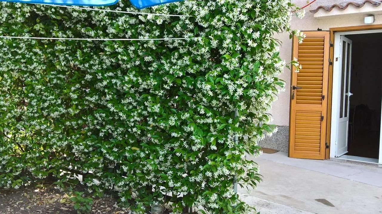 Room In Nerezine With Balcony, Wifi 4827-5 0*,  Croatia